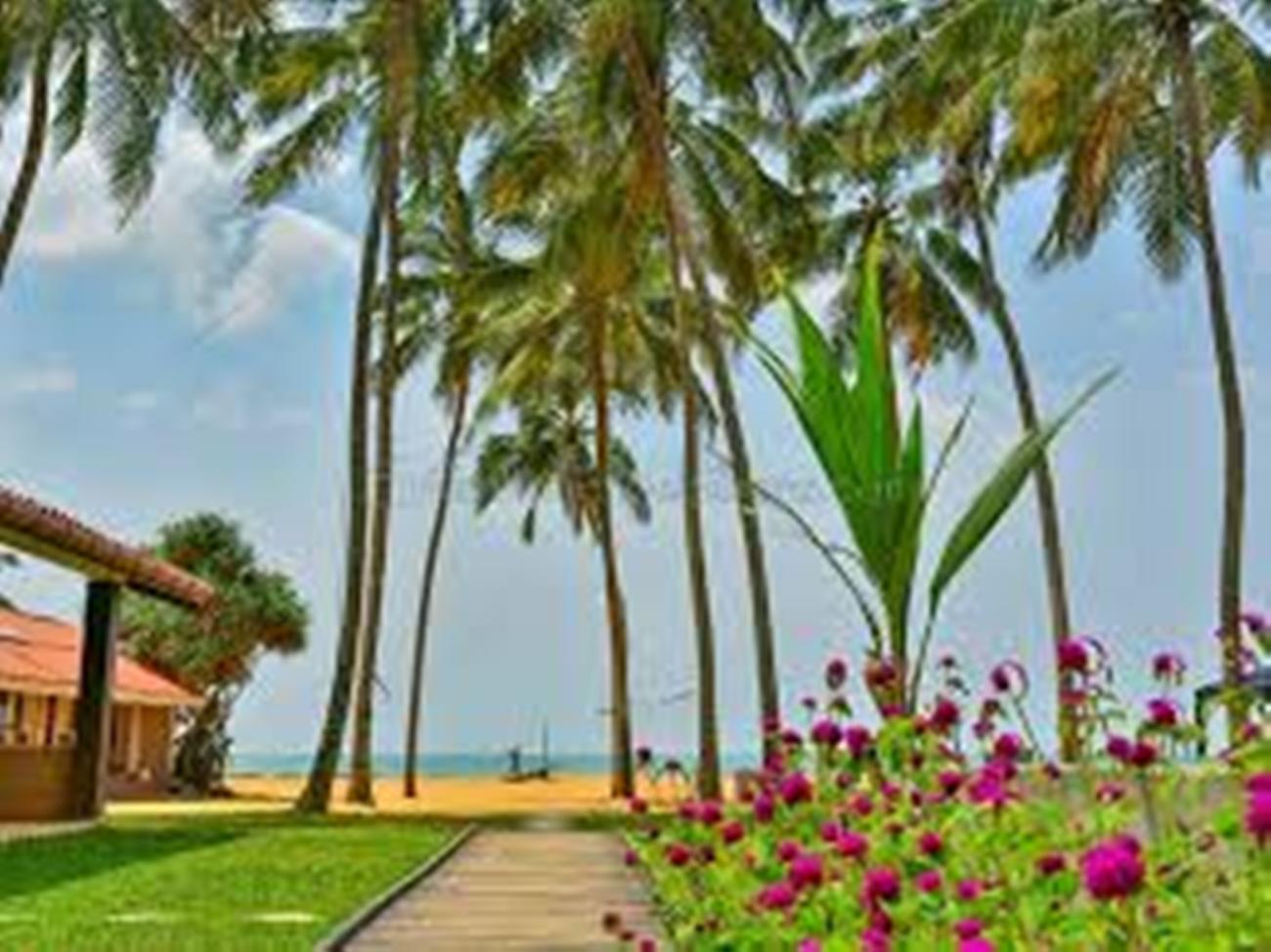 Amagi Beach - Secluded Slice Of Paradise Marawila Exterior foto