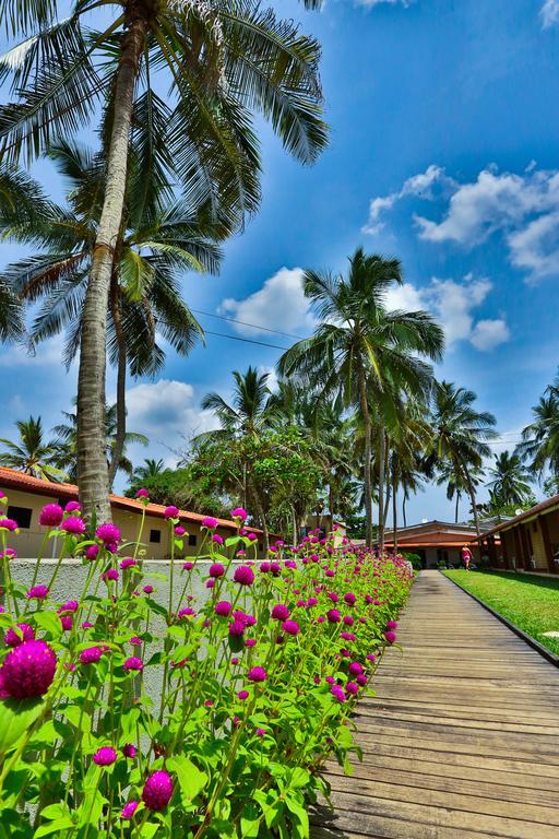 Amagi Beach - Secluded Slice Of Paradise Marawila Exterior foto