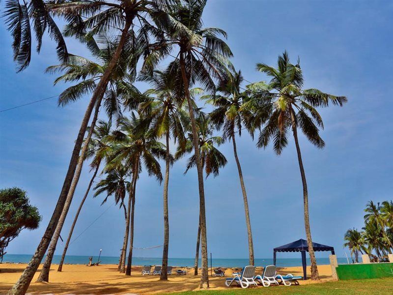Amagi Beach - Secluded Slice Of Paradise Marawila Exterior foto
